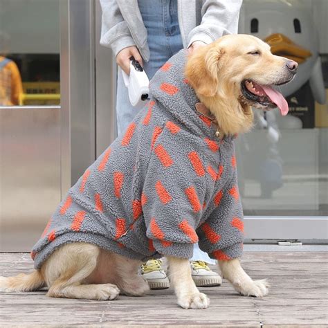 giubbotto per cani gucci